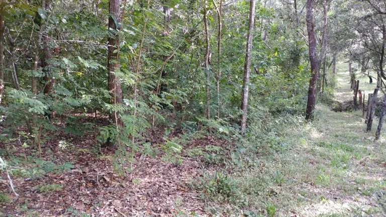Agricultural Land in Curubandé