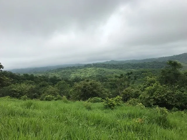 Agricultural Land in Alemania