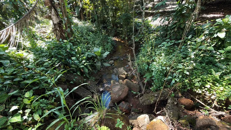 Agricultural Land in Pueblo Nuevo