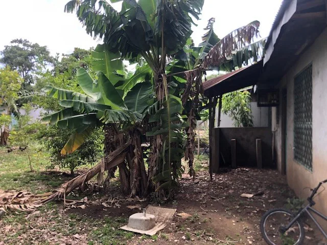Commercial Property in Playas del Coco