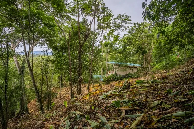 Home Construction Site in Puerto Viejo