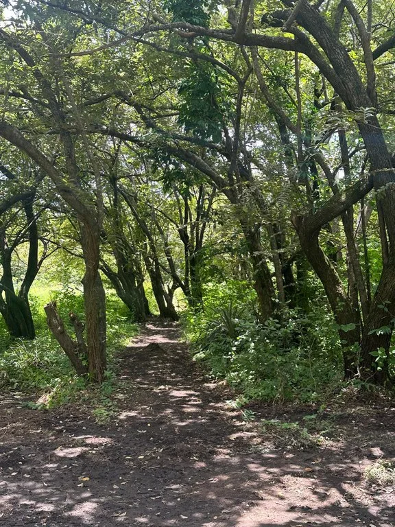 Agricultural Land in Quebrada Grande