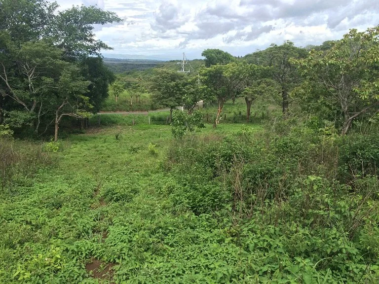 Agricultural Land in Guayabo