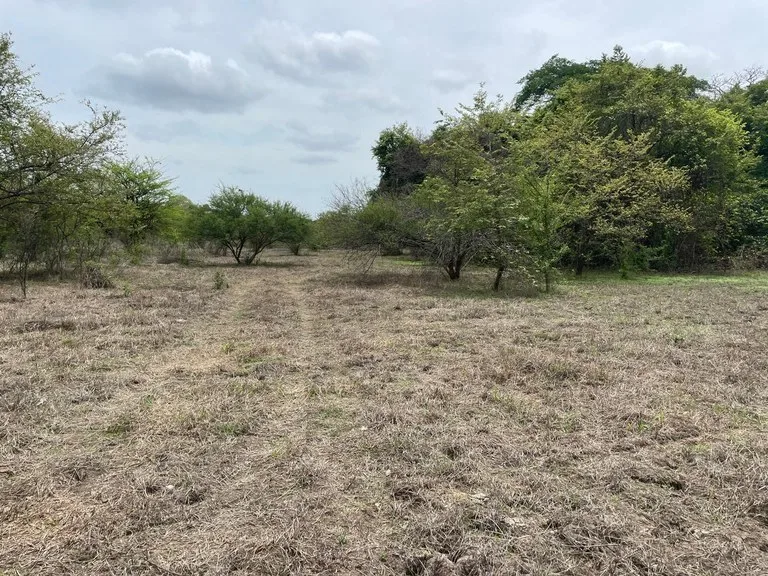 Agricultural Land in Liberia