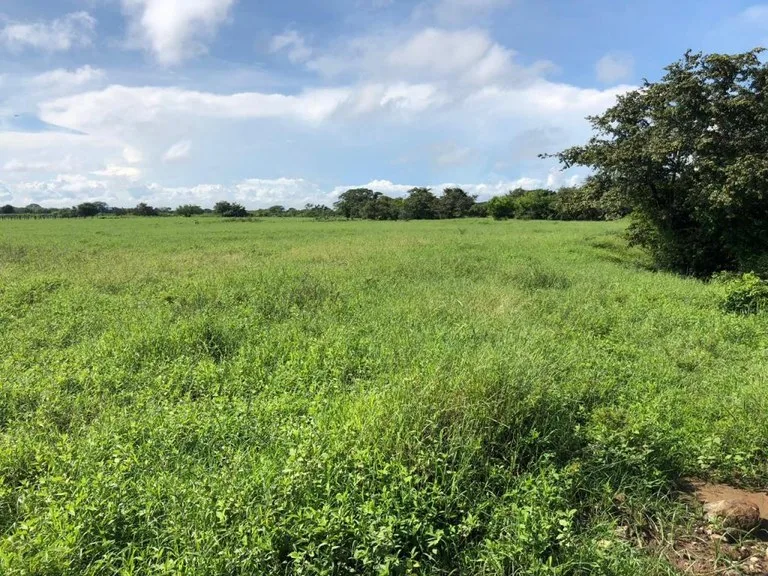 Commercial property in Palmira