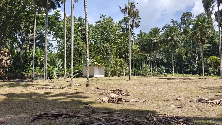 Home Construction Site in Puerto Viejo