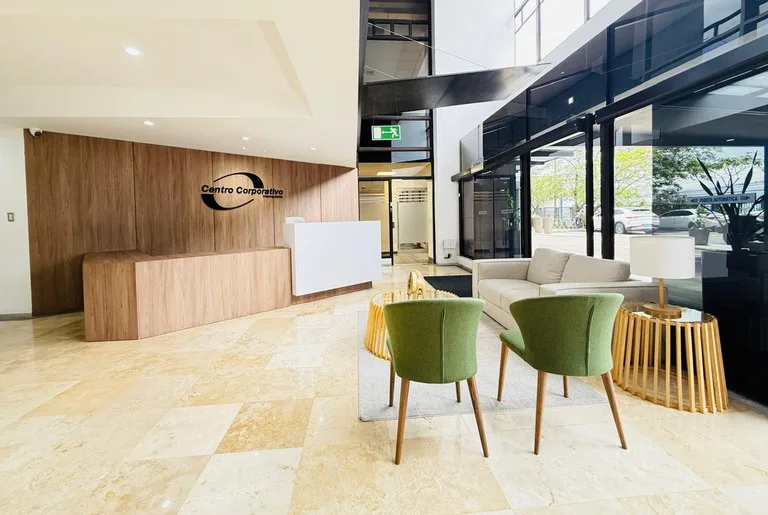 Office Condo in La Sabana — photo 5