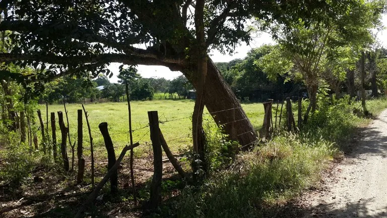 Home Construction Site in El Llano