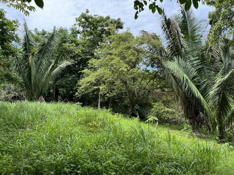 Home Construction Site in Playa Samara