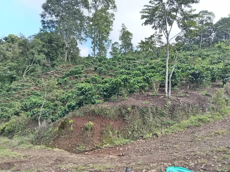 Agricultural Land in Barbacoas