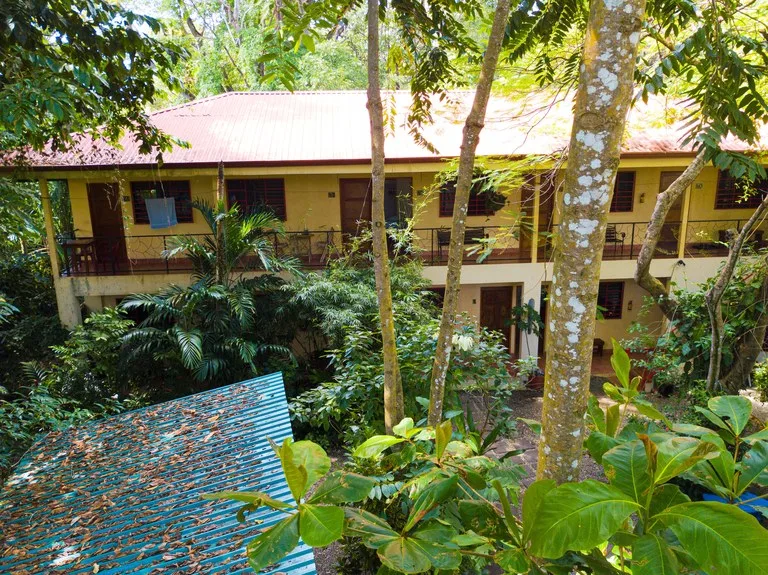 Hotel/Resort/Hostel in Dominical