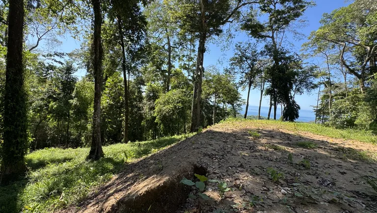Agricultural Land in Uvita
