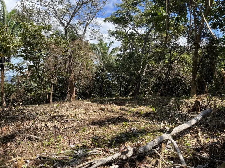 Home Construction Site in Playa Samara