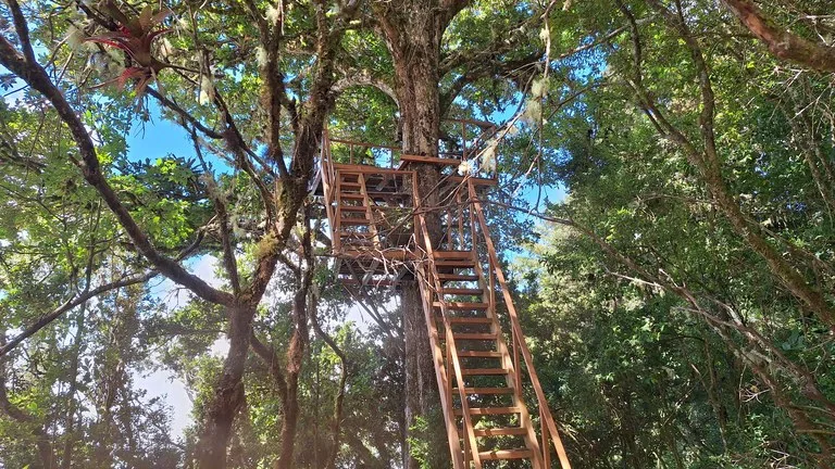 Home Construction Site in Division de Páramo