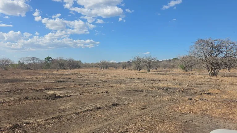 Agricultural Land in Guardia