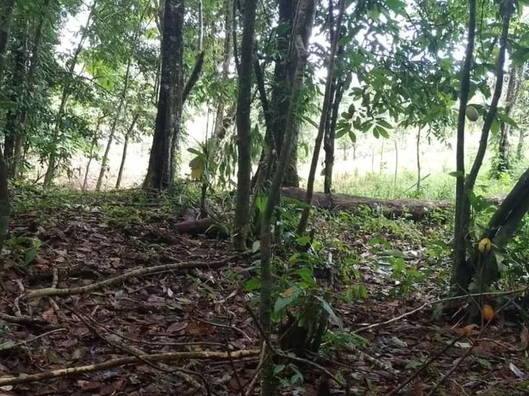 Development Parcel in Tres Rios