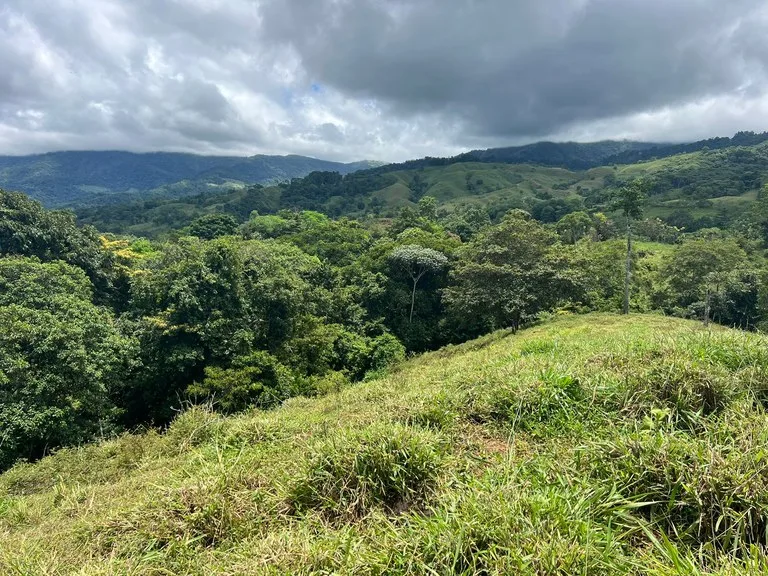 Agricultural Land in Platanillo de Dominical