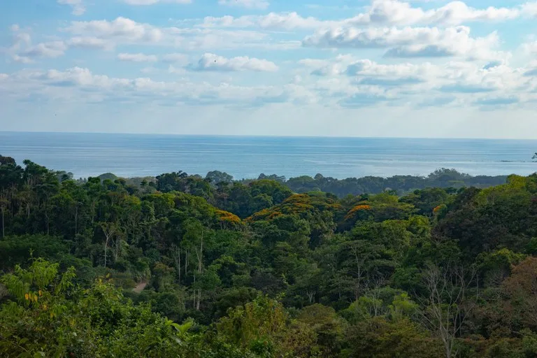 Development Parcel in Uvita