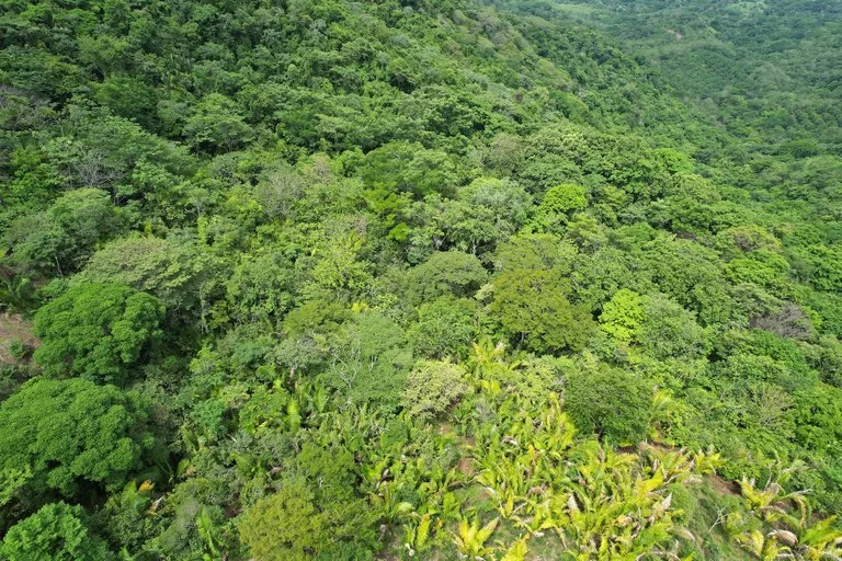 Development Parcel in Playa Carrillo