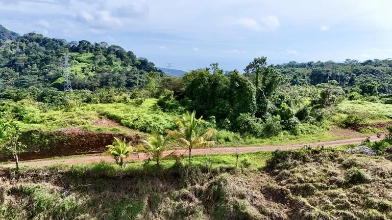 Home Construction Site in Matapalo