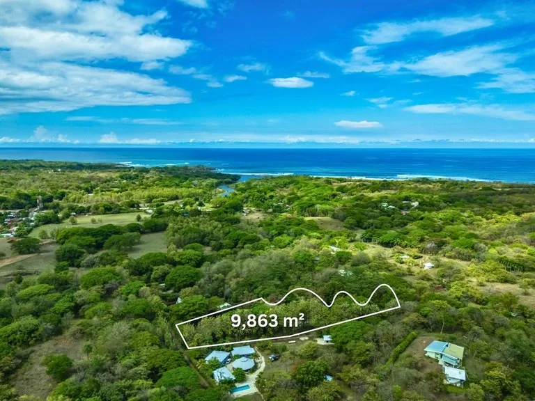Agricultural Land in Marbella