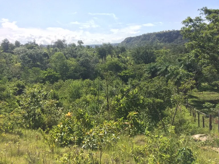 Agricultural Land in Liberia