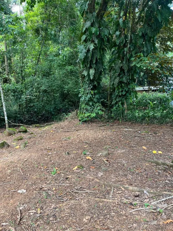 Home Construction Site in Uvita