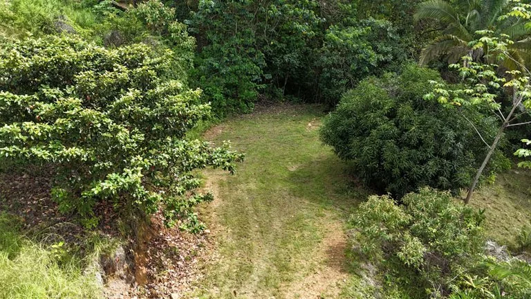Development Parcel in Ojochal