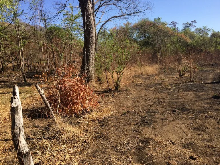 Agricultural Land in Sardinal
