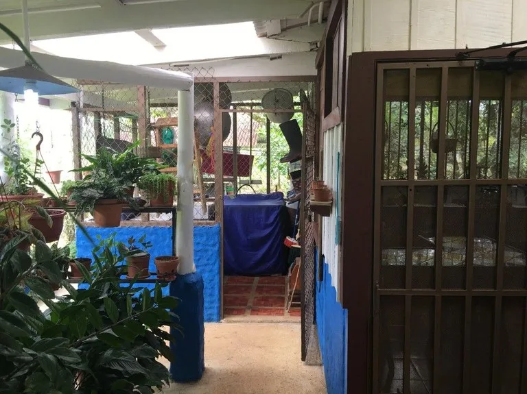 Home Construction Site in Horquetas