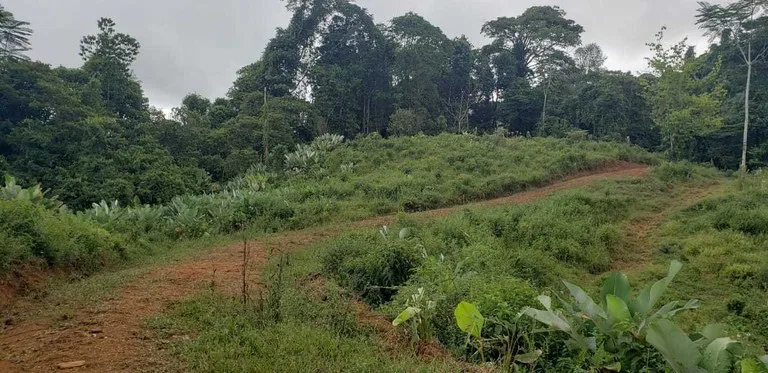 Development Parcel in Piedras Blancas