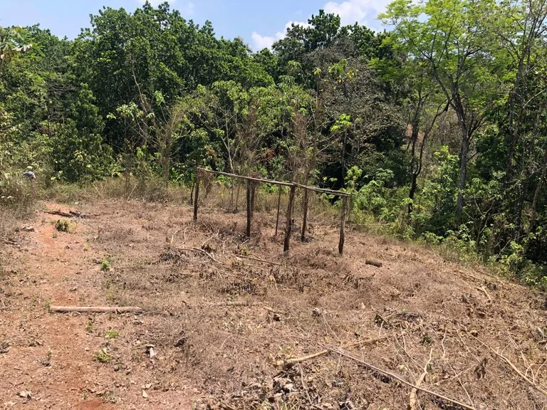 Home Construction Site in Playa Samara