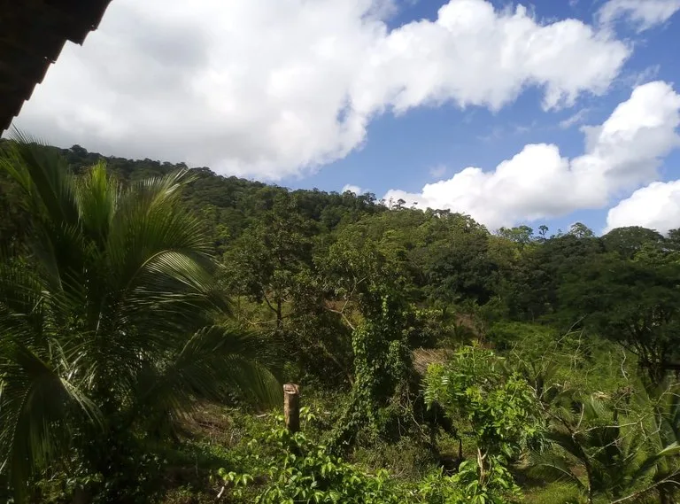Agricultural Land in Aguas Claras