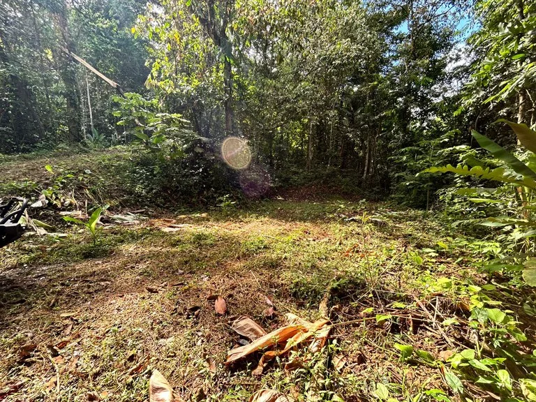 Home Construction Site in Uvita