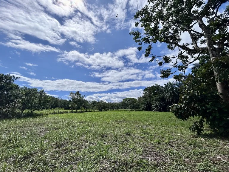 Home Construction Site in Puerto Jimenez