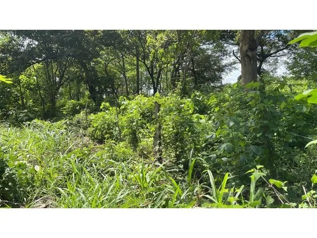 Agricultural Land in Curubandé