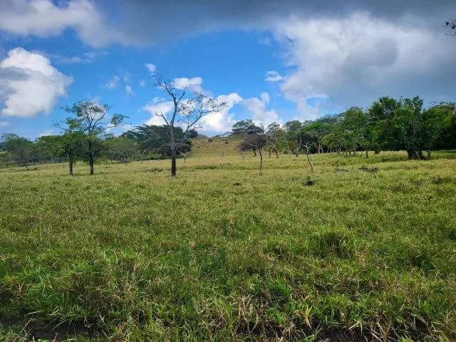 Agricultural Land in Tierras Morenas