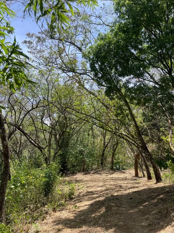 Agricultural Land in El Rodeo