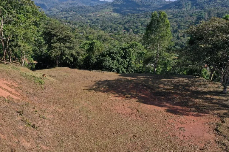 Agricultural Land in Quebradas