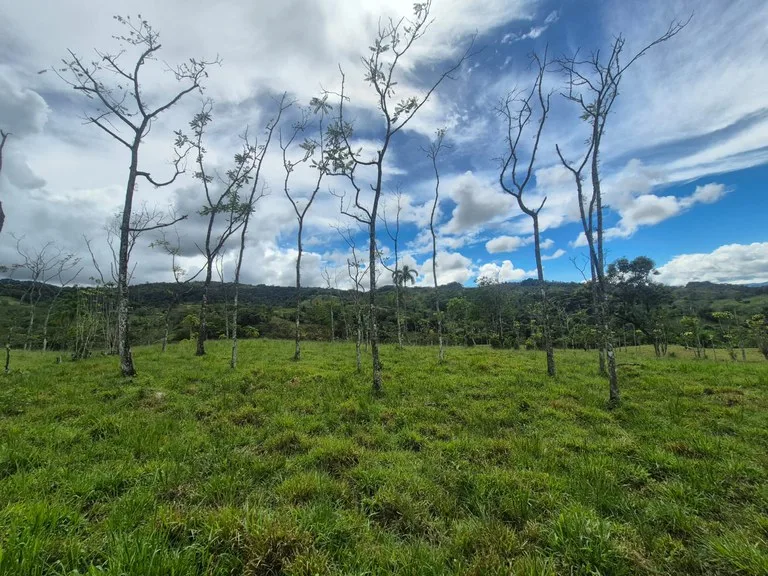 Agricultural Land in Centro de Pérez Zeledón