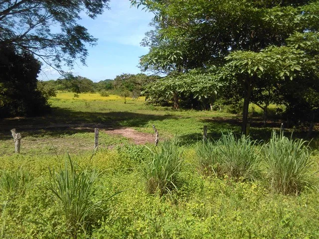 Home Construction Site in Guardia
