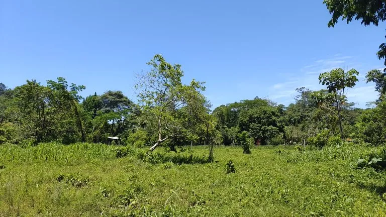 Home Construction Site in Puerto Viejo