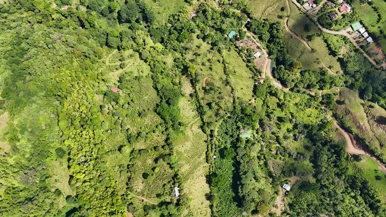 Agricultural Land in El General