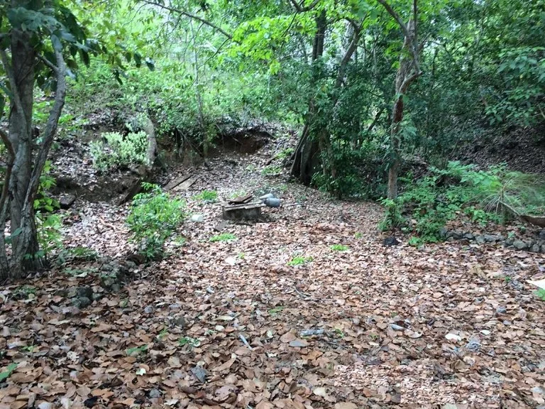 Development Parcel in Playa Matapalo