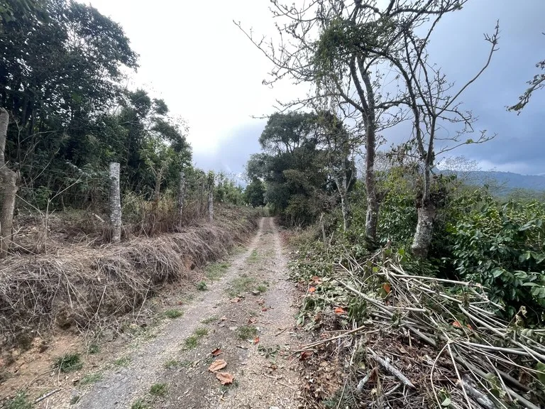 Agricultural Land in Copey