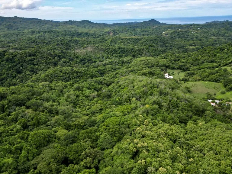 Agricultural Land in Playa Samara
