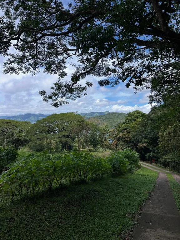 Organic Farm, Restaurant, Greenhouse, Woodworking shop, Event Center, Education, Yoga, Cooking Classes, in Nuevo Arenal