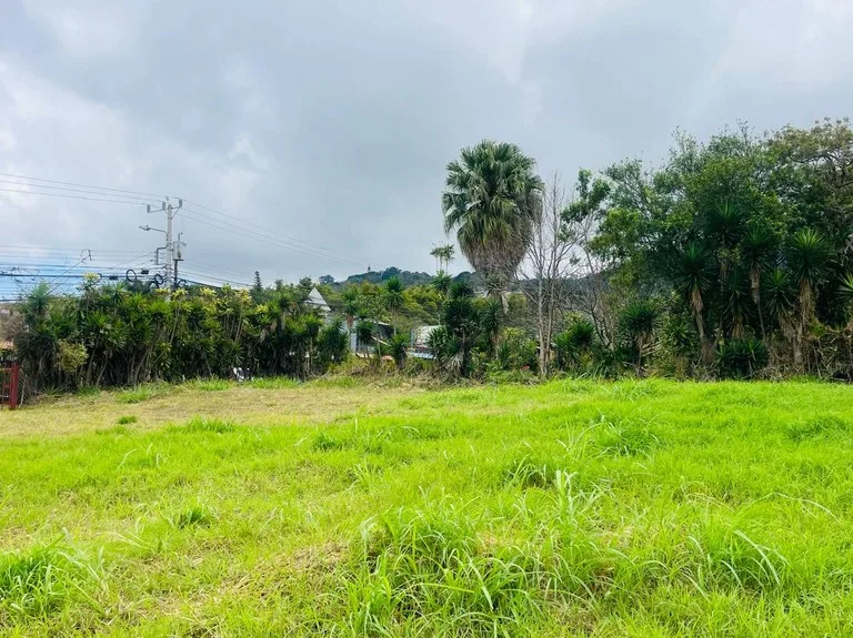 Development Parcel in San Antonio — photo 2