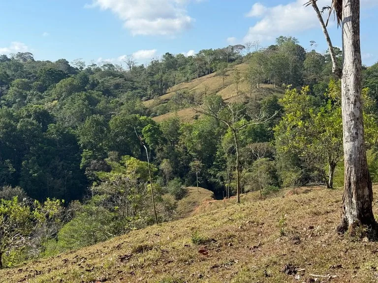 Home Construction Site in Puriscal