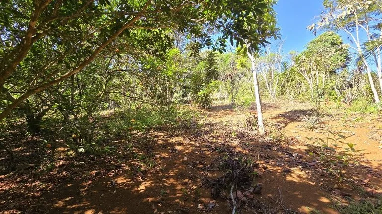 Home Construction Site in La Ceniza